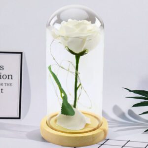 2490c60102eb294e398f6458277f9d9a